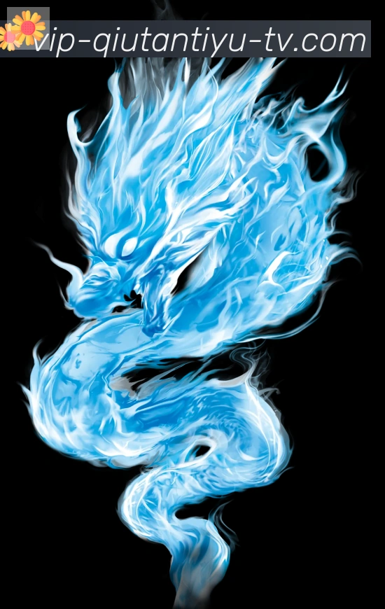 球探体育服务体系